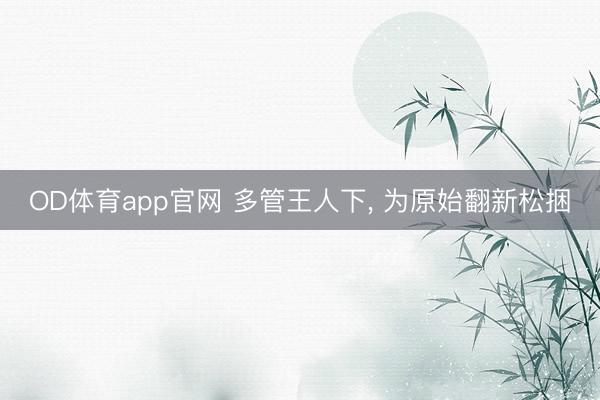 OD体育app官网 多管王人下， 为原始翻新松捆