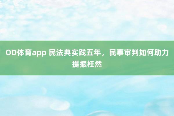 OD体育app 民法典实践五年，民事审判如何助力提振枉然