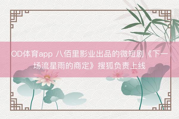 OD体育app 八佰里影业出品的微短剧《下一场流星雨的商定》搜狐负责上线