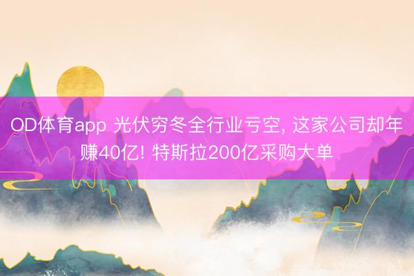 OD体育app 光伏穷冬全行业亏空， 这家公司却年赚40亿! 特斯拉200亿采购大单