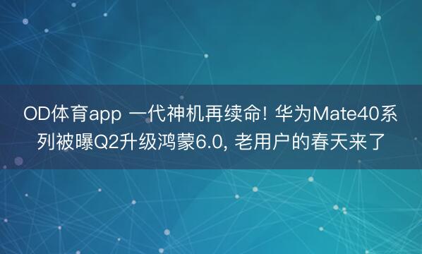 OD体育app 一代神机再续命! 华为Mate40系列被曝Q2升级鸿蒙6.0， 老用户的春天来了