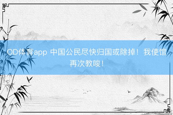 OD体育app 中国公民尽快归国或除掉！我使馆再次教唆！