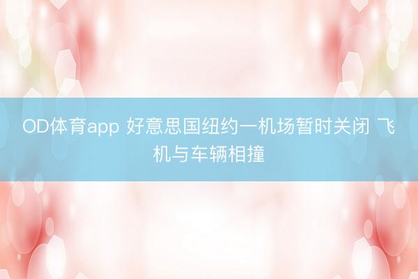 OD体育app 好意思国纽约一机场暂时关闭 飞机与车辆相撞