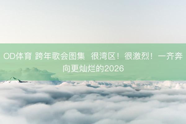 OD体育 跨年歌会图集  很湾区！很激烈！一齐奔向更灿烂的2026