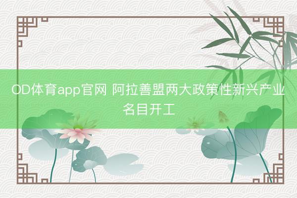 OD体育app官网 阿拉善盟两大政策性新兴产业名目开工