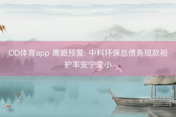 OD体育app 鹰眼预警: 中科环保总债务现款袒护率安宁变小