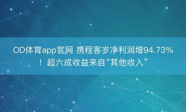 OD体育app官网 携程客岁净利润增94.73%！超六成收益来自“其他收入”
