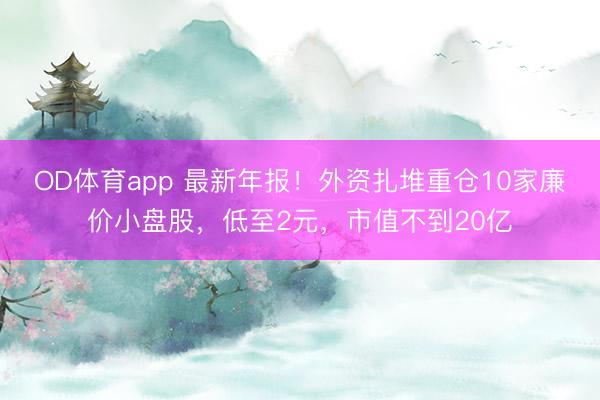OD体育app 最新年报!外资扎堆重仓10家廉价小盘股,低至2元,市值不到20亿