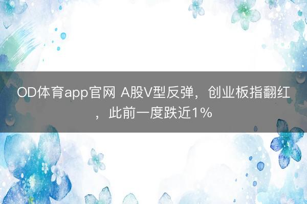 OD体育app官网 A股V型反弹，创业板指翻红，此前一度跌近1%