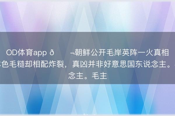 OD体育app 🌬朝鲜公开毛岸英阵一火真相,本色毛糙却相配炸裂,真凶并非好意思国东说念主。毛主