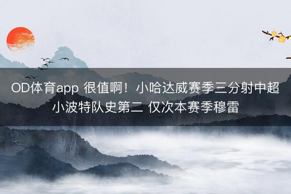 OD体育app 很值啊！小哈达威赛季三分射中超小波特队史第二 仅次本赛季穆雷