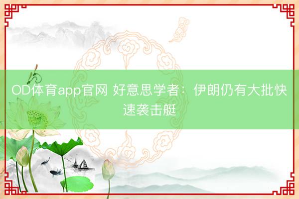 OD体育app官网 好意思学者：伊朗仍有大批快速袭击艇