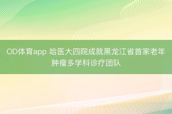OD体育app 哈医大四院成就黑龙江省首家老年肿瘤多学科诊疗团队