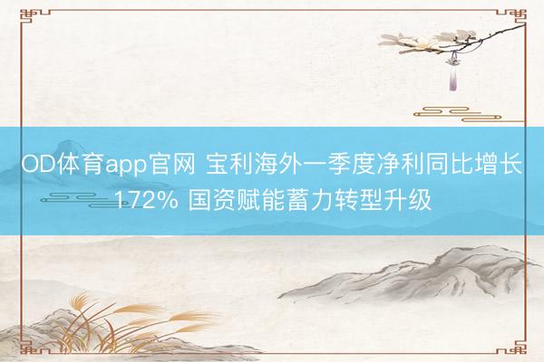 OD体育app官网 宝利海外一季度净利同比增长172% 国资赋能蓄力转型升级