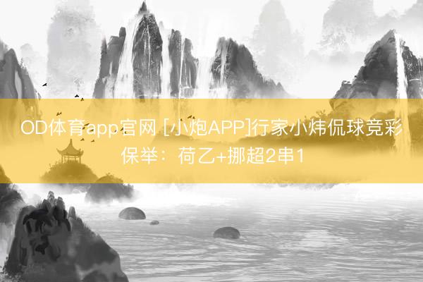 OD体育app官网 [小炮APP]行家小炜侃球竞彩保举：荷乙+挪超2串1