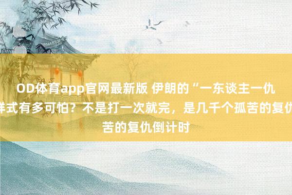 OD体育app官网最新版 伊朗的“一东谈主一仇”袭击样式有多可怕？不是打一次就完，是几千个孤苦的复仇倒计时