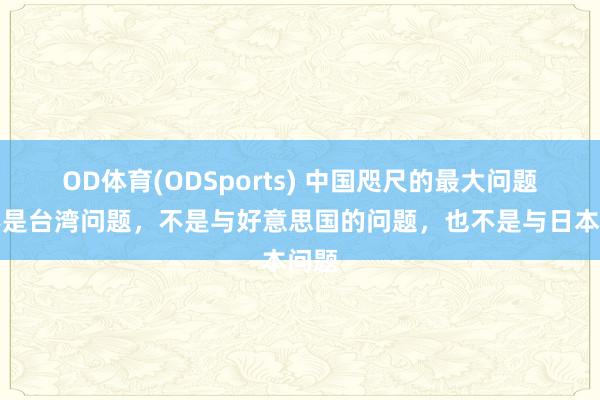 OD体育(ODSports) 中国咫尺的最大问题，不是台湾问题，不是与好意思国的问题，也不是与日本问题