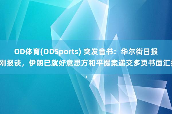 OD体育(ODSports) 突发音书：华尔街日报刚刚报谈，伊朗已就好意思方和平提案递交多页书面汇报，