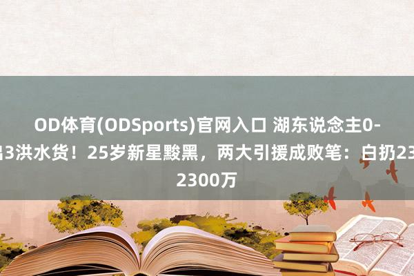 OD体育(ODSports)官网入口 湖东说念主0-3验出3洪水货！25岁新星黢黑，两大引援成败笔：白扔2300万