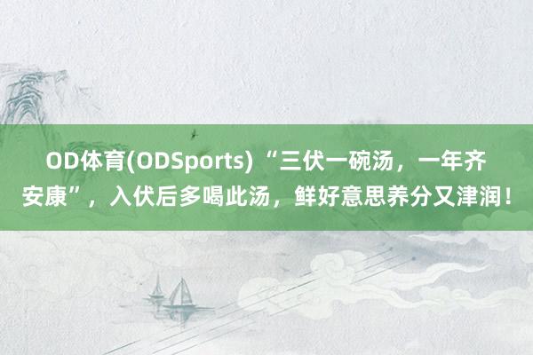 OD体育(ODSports) “三伏一碗汤，一年齐安康”，入伏后多喝此汤，鲜好意思养分又津润！