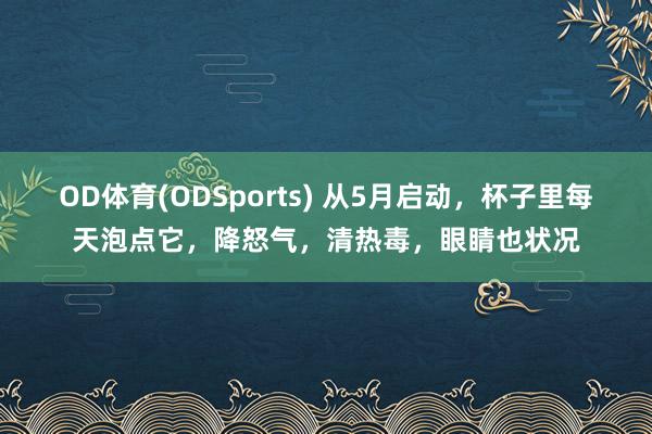 OD体育(ODSports) 从5月启动，杯子里每天泡点它，降怒气，清热毒，眼睛也状况