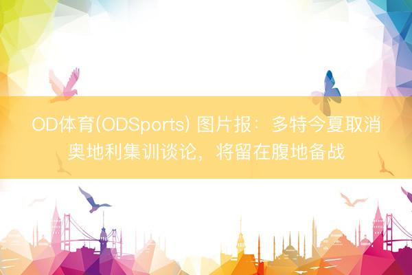 OD体育(ODSports) 图片报:多特今夏取消奥地利集训谈论,将留在腹地备战