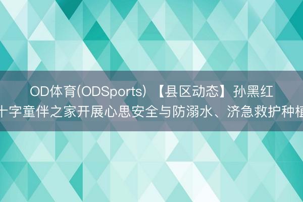 OD体育(ODSports) 【县区动态】孙黑红十字童伴之家开展心思安全与防溺水、济急救护种植