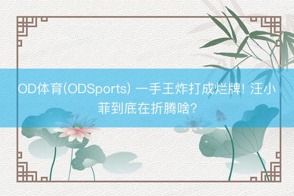 OD体育(ODSports) 一手王炸打成烂牌! 汪小菲到底在折腾啥?
