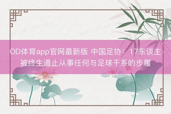 OD体育app官网最新版 中国足协：17东谈主被终生遏止从事任何与足球干系的步履