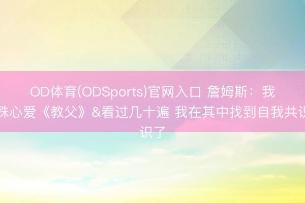 OD体育(ODSports)官网入口 詹姆斯：我特殊心爱《教父》&看过几十遍 我在其中找到自我共识了