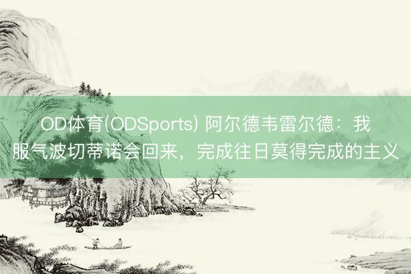 OD体育(ODSports) 阿尔德韦雷尔德：我服气波切蒂诺会回来，完成往日莫得完成的主义