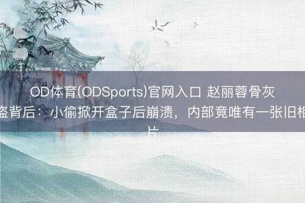 OD体育(ODSports)官网入口 赵丽蓉骨灰被盗背后：小偷掀开盒子后崩溃，内部竟唯有一张旧相片