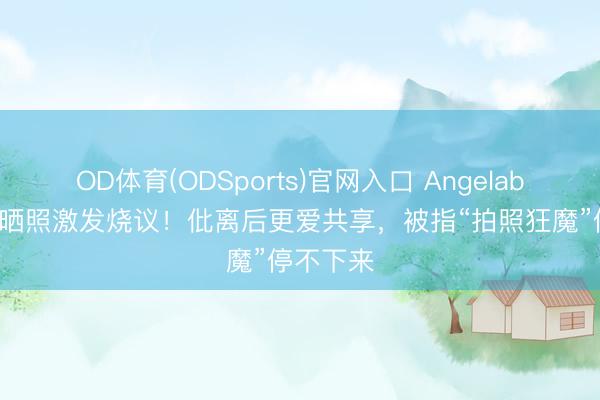 OD体育(ODSports)官网入口 Angelababy相似晒照激发烧议!仳离后更爱共享,被指“拍照狂魔”停不下来
