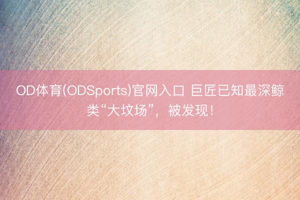OD体育(ODSports)官网入口 巨匠已知最深鲸类“大坟场”，被发现！