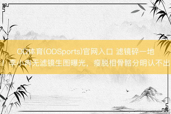 OD体育(ODSports)官网入口 滤镜碎一地！李小冉无滤镜生图曝光，瘦脱相骨骼分明认不出